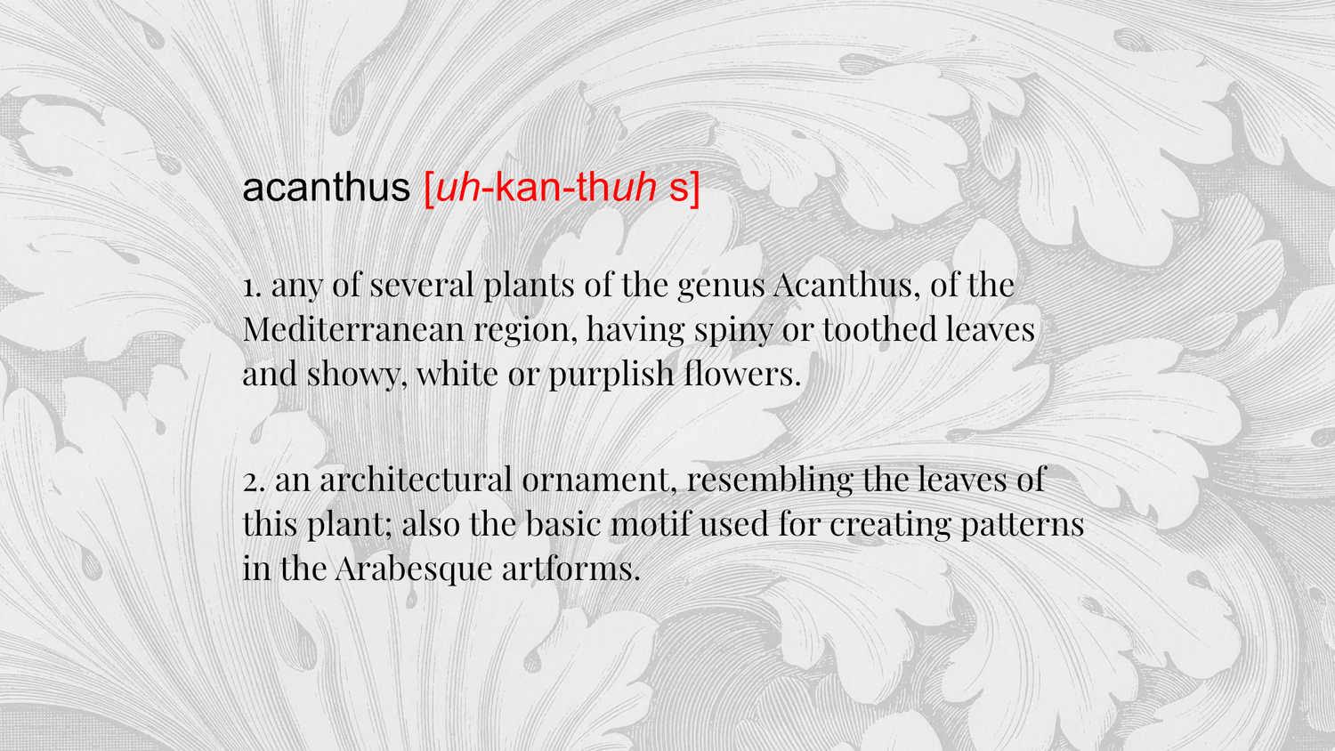 Acanthus - definition
